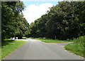 TL9783 : West Harling Road, Middle Harling by Geographer