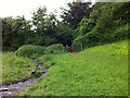 SX8855 : Hook Bottom bridleway by Hugh Craddock