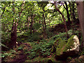 SK2578 : Padley Gorge by Stephen Burton