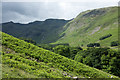 NY3715 : Bracken slope in Grisedale by Trevor Littlewood