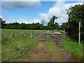 NY6821 : Public footpath to Clickham Farm by Christine Johnstone