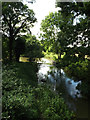 TL9580 : Little Ouse River off Knettishall Road Bridge by Geographer