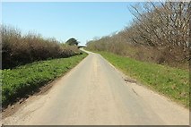  : Lane from Curtis Cross by Derek Harper