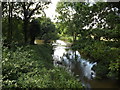 TL9580 : Little Ouse River off Knettishall Road Bridge by Geographer