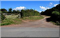 SO6031 : Wooden gate at a field entrance, Brockhampton by Jaggery