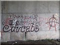 SJ8243 : Graffiti under M6 bridge by Jonathan Hutchins