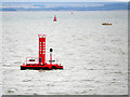 SU4900 : Red Buoys in the Solent by David Dixon