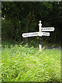 TM0379 : Roadsign on the B1113 Redgrave Road by Geographer