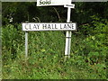 TM0280 : Clay Hall Lane Sign by Geographer