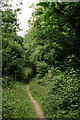 TQ1452 : Footpath to Chapelhill Wood by Peter Trimming