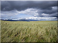 V6493 : Sand dunes, Rossbeigh by Rossographer