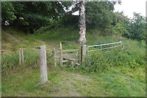 SO5473 : Eastern gate, Caynham Camp by Richard Webb