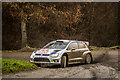 SJ0014 : Dyfnant Rally Stage (WRC) by Brian Deegan