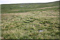 NY8004 : Moorland view of Nateby Common by Roger Templeman