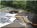 NY9464 : Fish pass at Hexham Bridge by Oliver Dixon