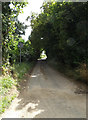 TM0175 : Calkewood Lane, Wattisfield by Geographer