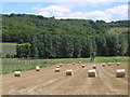 TQ5263 : Bales of straw in the Darent Valley by Marathon