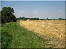  : The Thames Path at Blackford Farm by David Purchase