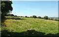 SS7721 : Grass field, Swincombe by Derek Harper