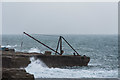 SY6768 : Red Crane during high winds by Oliver Mills