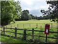 ST0720 : Field in the floodplain of the River Tone at Greenham by David Smith