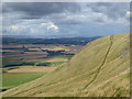 NO1803 : Steep track on Lomond Hills escarpment by Alan O'Dowd