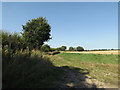 TM1386 : Back Lane footpath to Common Road by Geographer