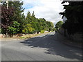 TL9174 : Sapiston Road, Honington by Geographer