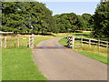 SK4664 : Cattle Grid on Driveway to Hardwick Hall by David Dixon