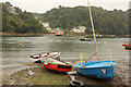 SX1252 : River Fowey by Richard Croft