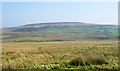 NY9606 : Moorland in Arkengarthdale by Trevor Littlewood