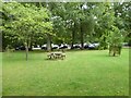 SU2396 : Picnic area, Buscot Park by Philip Halling