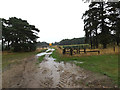 TL9077 : Track off the A1088 Thetford Road by Geographer