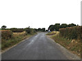 TL8821 : Easthorpe Road, Easthorpe by Geographer