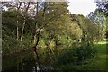 SD9201 : Hollinwood Branch Canal by Peter McDermott