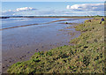 SD4559 : Lune estuary by Ian Taylor