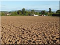 SO8642 : Ploughed field by Philip Halling