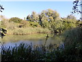 TQ2113 : Lake at Woods Mill Nature Reserve by PAUL FARMER