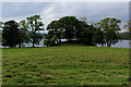 NY3702 : Looking towards Holme Crag by Chris Heaton