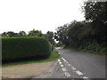 TM1585 : Rectory Road, Mill Green, Gissing by Geographer