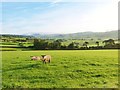 SN9671 : View East from the Wye Valley Walk, footpath from Rhayader by Derek Voller