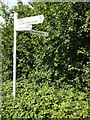 TM0594 : Signpost on Borough Lane by Geographer