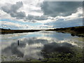 TV5198 : Cuckmere River by PAUL FARMER