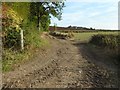 SO8740 : Farm track near Sudeley Farm by Philip Halling