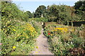 SJ5483 : The Walled Garden at Norton Priory by Jeff Buck