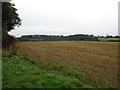 SO6851 : View towards Halletshill Coppice by Jonathan Thacker