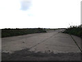 TM1489 : Former taxiway of Tibenham Airfield by Geographer