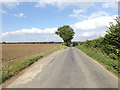 TM1691 : Muir Lane, Aslacton by Geographer