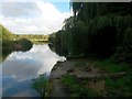 SZ1195 : Throop: view along the Stour from B.O.A.T. K41 by Chris Downer