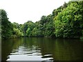 SJ5676 : River Weaver passing between two woods by Christine Johnstone